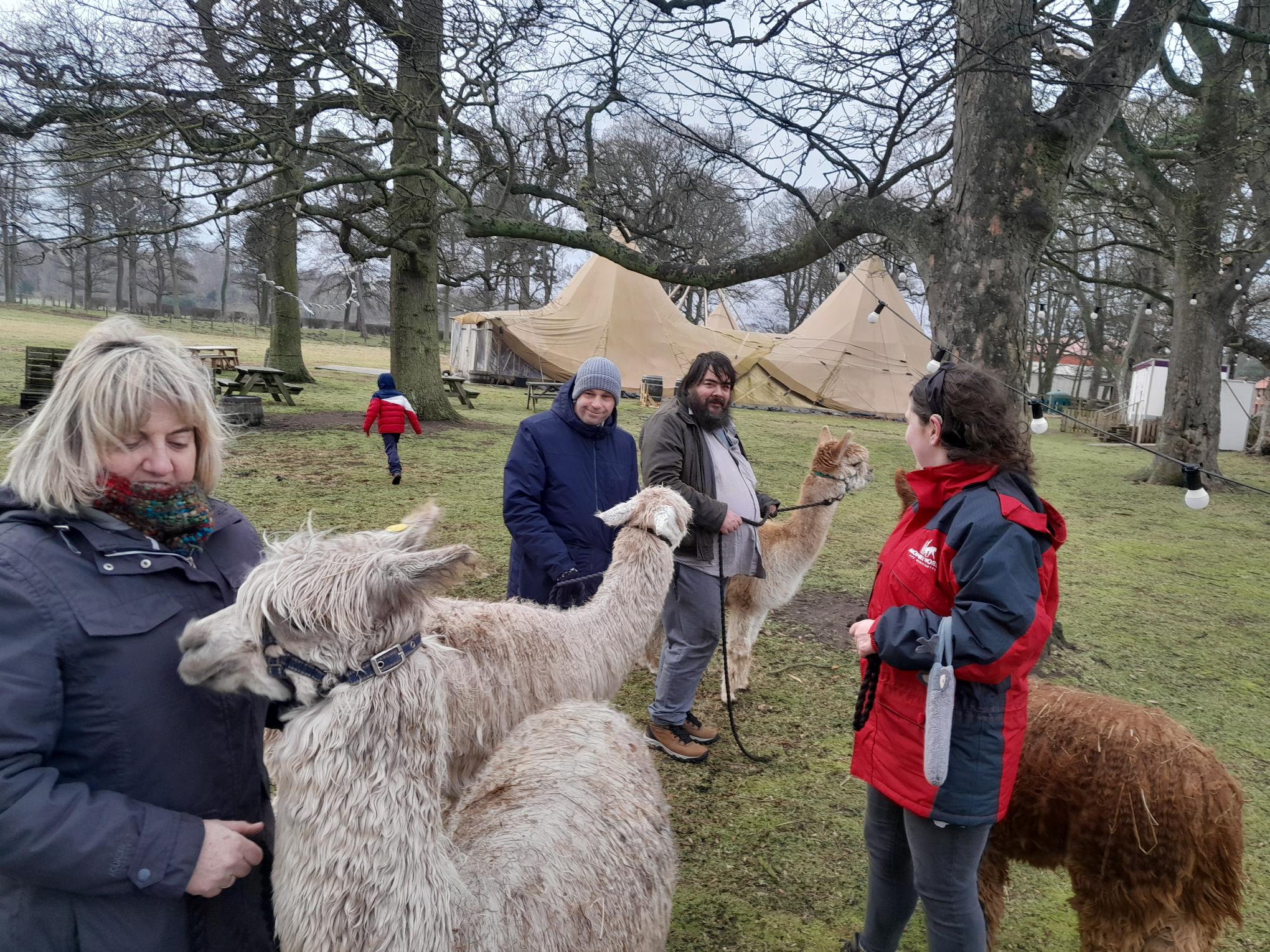 Members at a alpaca farm