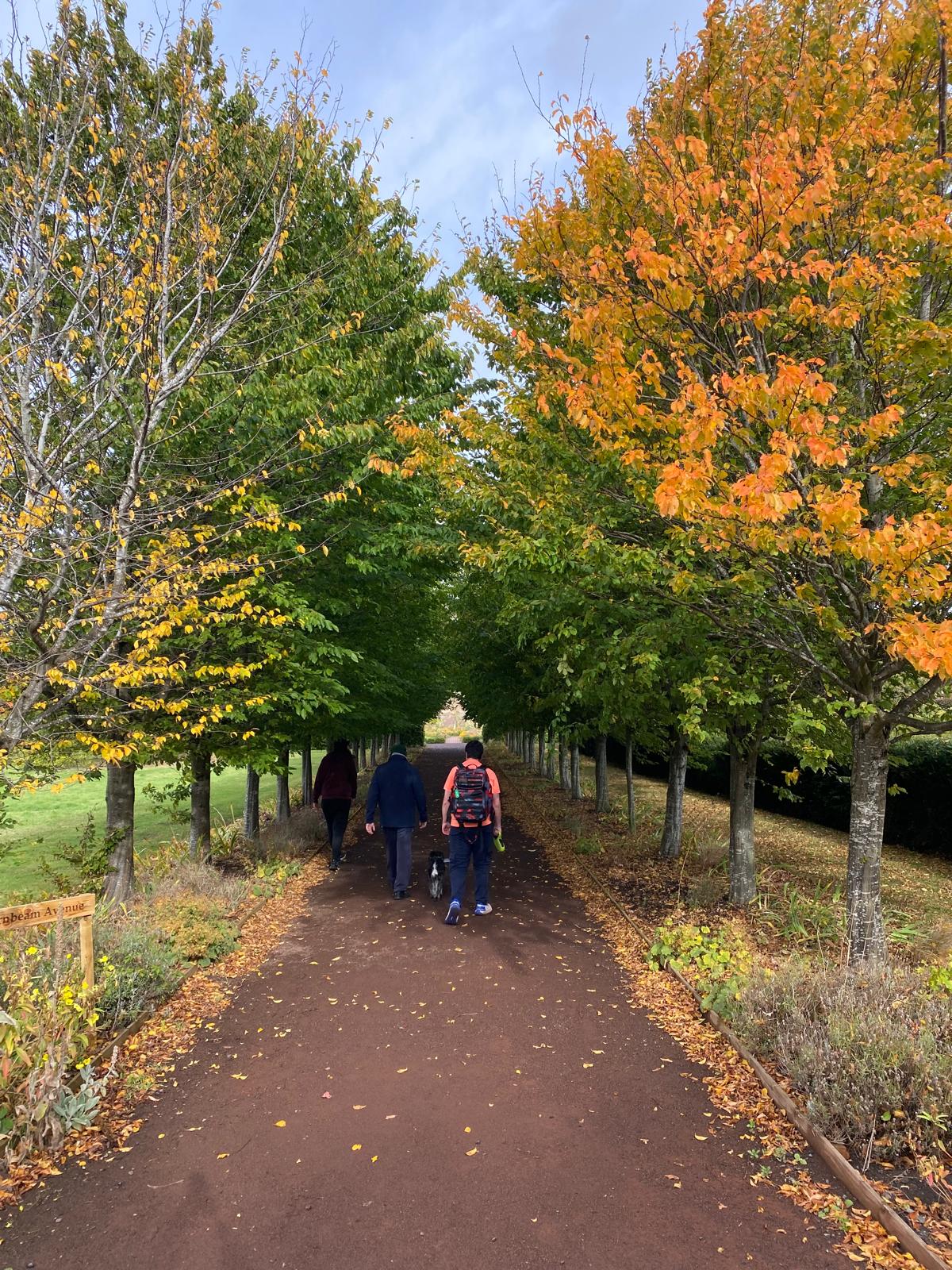 Members walking in nature